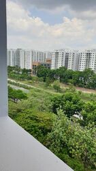 Blk 299A Compassvale Green (Sengkang), HDB 4 Rooms #497810601
